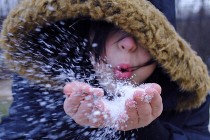 出口放缓?4月国内彩电出口达667万台创新高