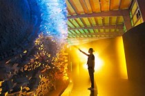 有人说,种子用户或是VR产业真正“燎原”的那点星火