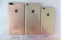 最新版本的消息是:苹果今年只会发布两款iPhone而不是三款