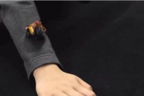 可穿戴迷你机器人问世, 可自己随意变形