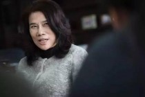 两面不讨好啊 董明珠“好汽车,格力造”的愿景 算是泯灭了