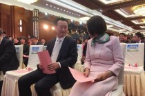 董明珠“我为车狂”背后的故事