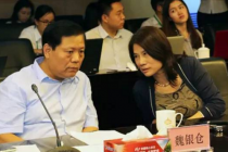 为什么要说董明珠职业操守不及格