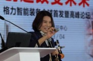 董明珠谈库卡收购：“没有人说你买来的是先进的技术”