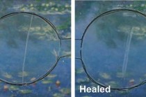 科技的进步:可自愈划伤、撕裂的手机屏幕被发明