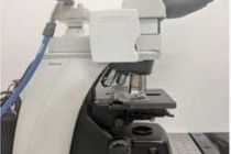 谷歌推出AR显微镜，可以检测出癌细胞